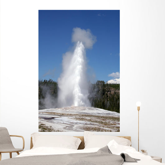 Old Faithful, Yellowstone National Park Wall Mural