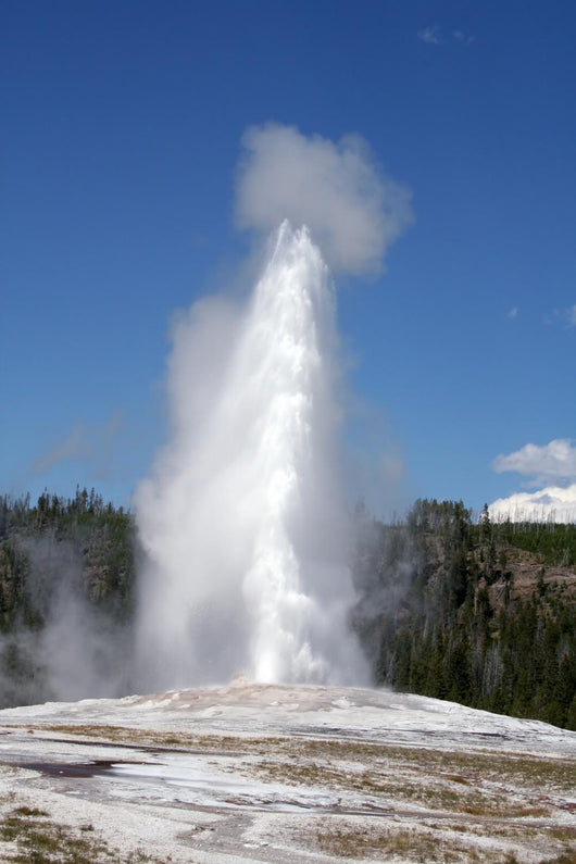 Old Faithful, Yellowstone National Park Wall Mural