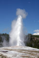 Old Faithful, Yellowstone National Park Wall Mural