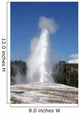 Old Faithful, Yellowstone National Park Wall Mural
