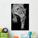 close up black and white Jaguar Portrait Wall Mural
