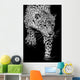 close up black and white Jaguar Portrait Wall Mural
