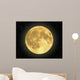 Majestic Moon Wall Mural