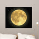 Majestic Moon Wall Mural