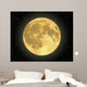 Majestic Moon Wall Mural