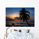 Surfer Sunset Wall Mural