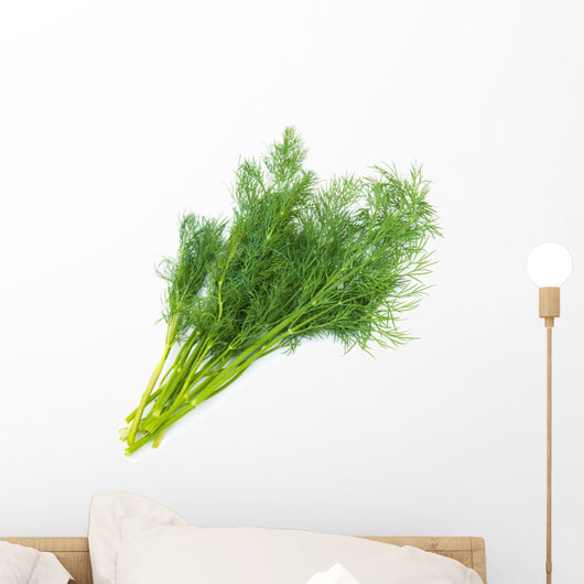 Fresh fennel Wall Decal