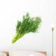 Fresh fennel Wall Decal