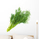 Fresh fennel Wall Decal