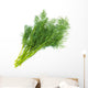 Fresh fennel Wall Decal