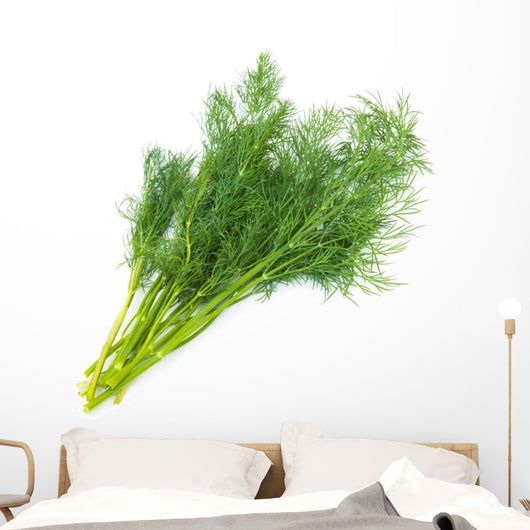 Fresh fennel Wall Decal