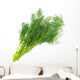 Fresh fennel Wall Decal