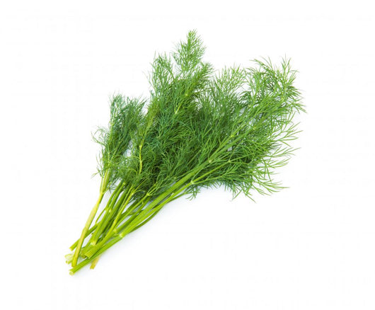 Fresh fennel Wall Decal