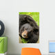 Black bear Wall Mural
