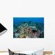 Coral Reef and Fish Wall Mural