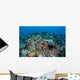 Coral Reef and Fish Wall Mural