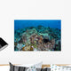 Coral Reef and Fish Wall Mural