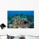 Coral Reef and Fish Wall Mural