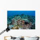 Coral Reef and Fish Wall Mural