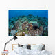 Coral Reef and Fish Wall Mural