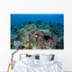 Coral Reef and Fish Wall Mural