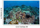 Coral Reef and Fish Wall Mural