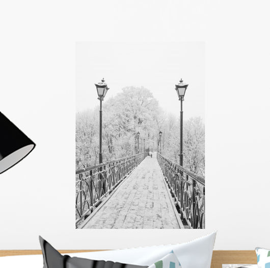 Winter city park. Lovers Bridge in Kiev. Ukraine. Wall Mural