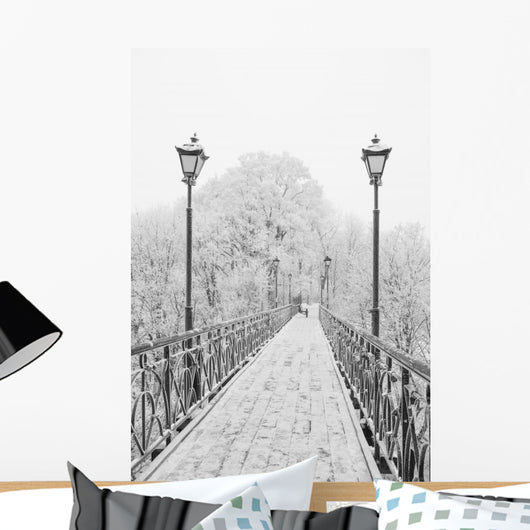 Winter city park. Lovers Bridge in Kiev. Ukraine. Wall Mural