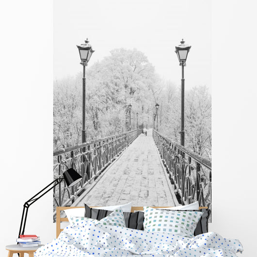 Winter city park. Lovers Bridge in Kiev. Ukraine. Wall Mural