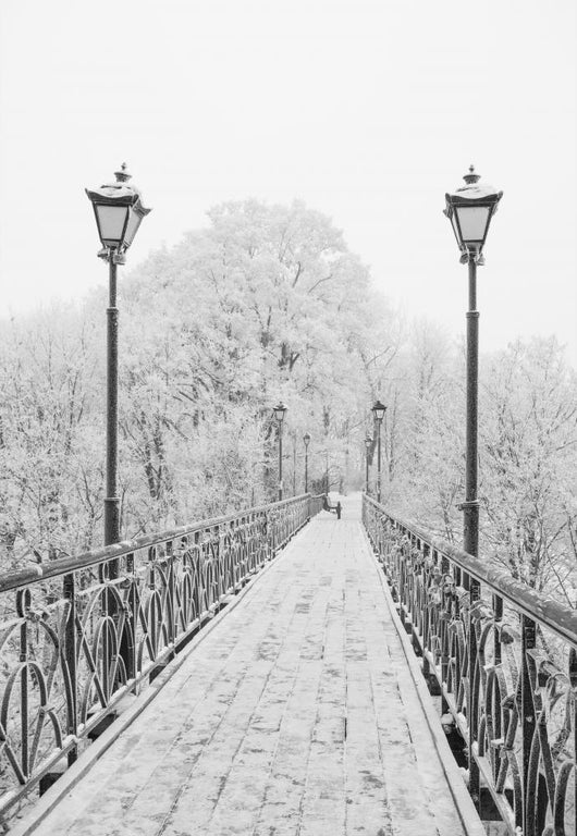 Winter city park. Lovers Bridge in Kiev. Ukraine. Wall Mural