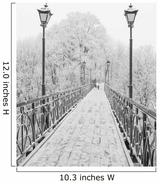 Winter city park. Lovers Bridge in Kiev. Ukraine. Wall Mural