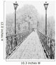 Winter city park. Lovers Bridge in Kiev. Ukraine. Wall Mural