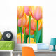 flower garden Wall Mural