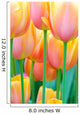 flower garden Wall Mural