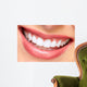 Smile. Wall Mural