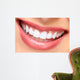 Smile. Wall Mural