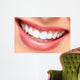 Smile. Wall Mural