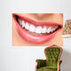 Smile. Wall Mural