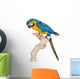 Blue Gold Macaw Wall Decal