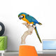 Blue Gold Macaw Wall Decal
