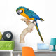 Blue Gold Macaw Wall Decal