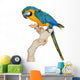 Blue Gold Macaw Wall Decal