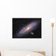 Andromeda Galaxy Wall Mural