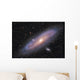 Andromeda Galaxy Wall Mural