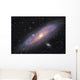 Andromeda Galaxy Wall Mural