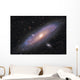 Andromeda Galaxy Wall Mural