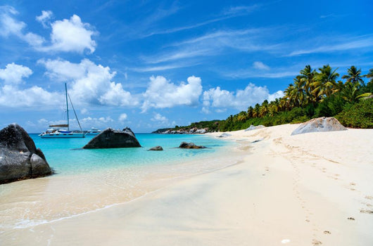 Stunning beach at Caribbean Wall Mural