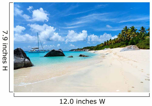 Stunning beach at Caribbean Wall Mural
