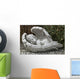 Sleeping Angel Wall Mural