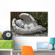 Sleeping Angel Wall Mural